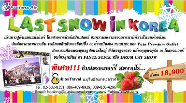 ทัวร์เกาหลี ชิมสตอรเบอร์รี่ The Last Snow in Korea 5 วัน 3 คืน บินบิสสิเนสแอร์